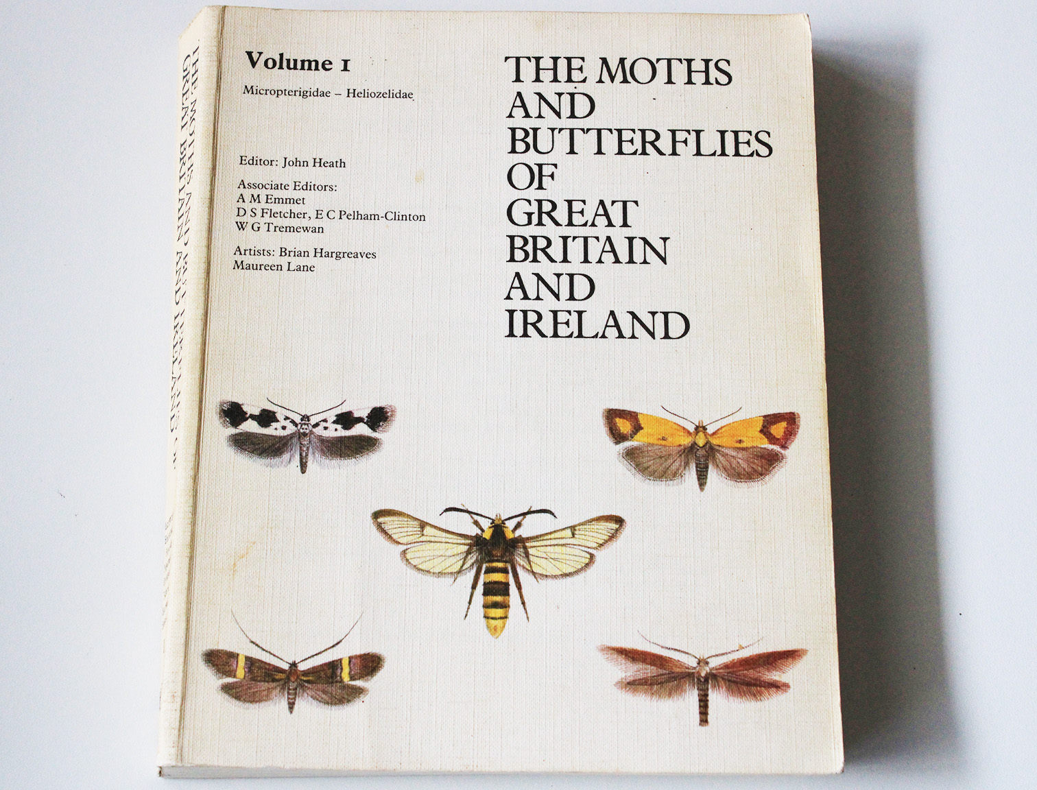 the moth and butterflies of GBand I part1